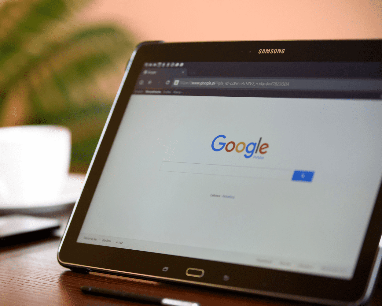 SEO & WIDOCZNOŚĆ
